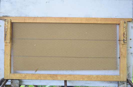 comb foundation sheet fixed in a bee hive frame